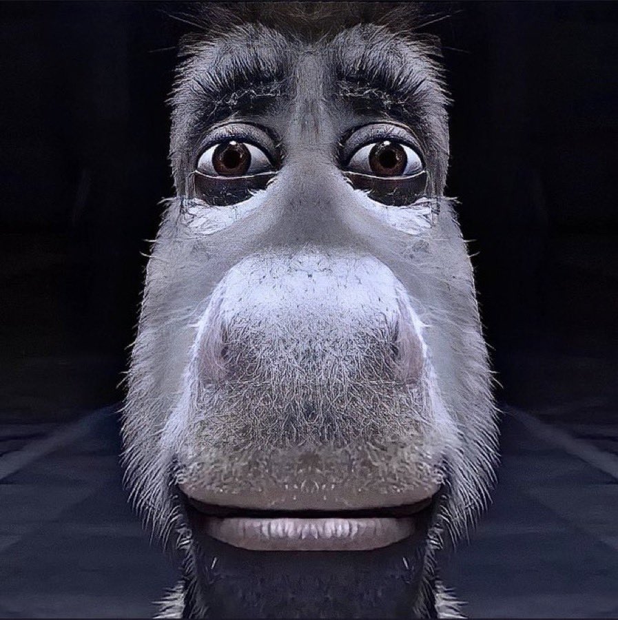 ~Grizzly Grey avatar
