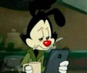 HappyOrb avatar